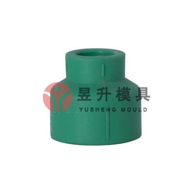 PPR Reducer mold